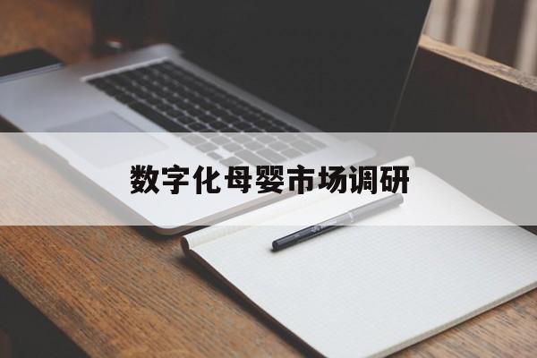 乌鲁木齐市数字化母婴市场调研(数字化母婴市场调研报告)